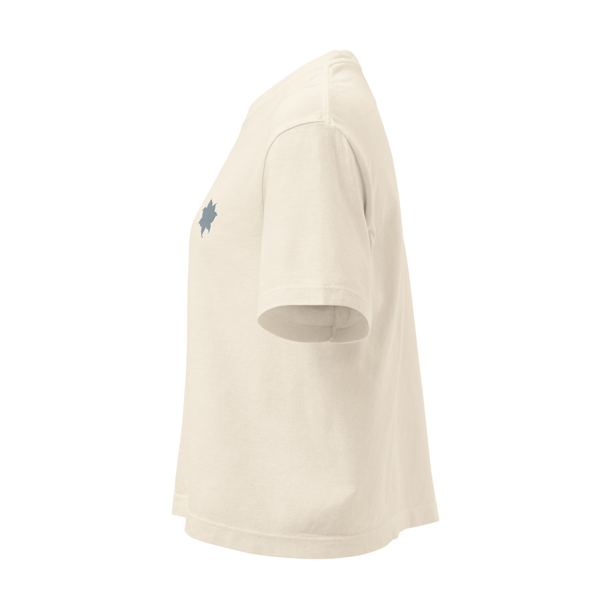 women’s heavyweight boxy tee women’s heavyweight boxy tee